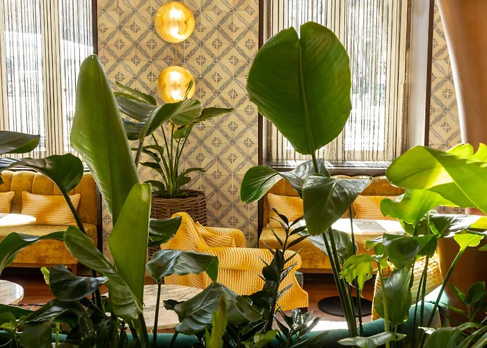 Boutique Hotels in Lisbon
